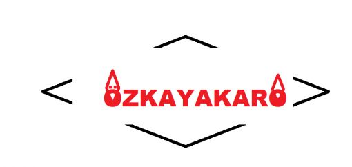 TAŞ SANATININ MERKEZİ